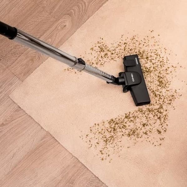 Cecotec Säckaggsdammsugare Conga Powerbag 2000