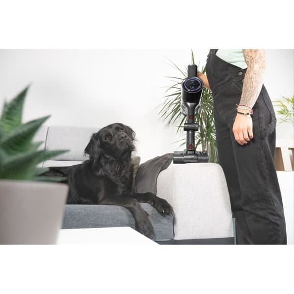 Dammsugarborste Concept VP6250 500 W
