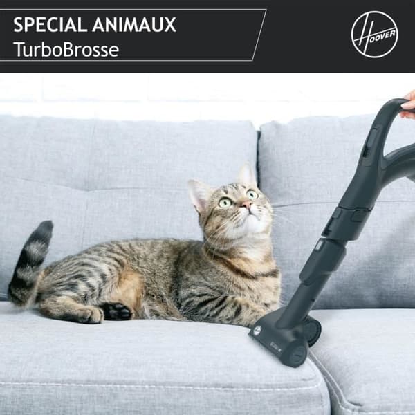Påslös släddammsugare - HOOVER - HP720PET - 850 W - 68 dBA - 2 L kassett - Speciell för parkettgolv och djur