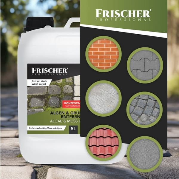 Støvsuger til Vinduer Frischer FR00241_5000