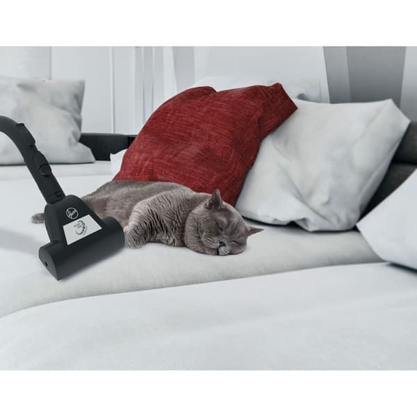 Ekstraktor Hoover Grønn 850 W