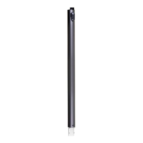 Stavstøvsuger Samsung VS20B75ACR5/GE 550 W 25 x 113 x 21,5 cm