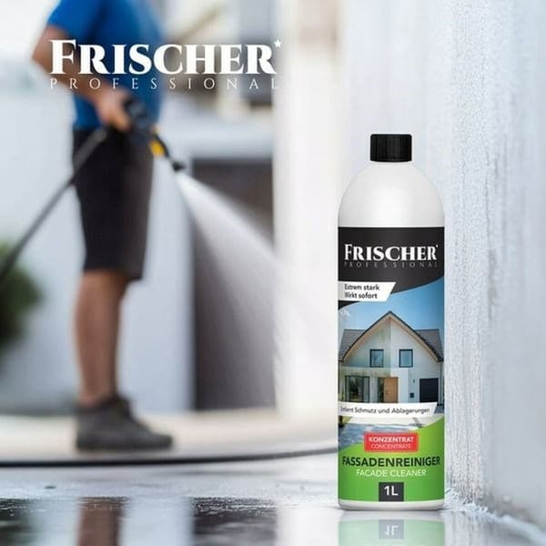 Fönsterdammsugare Frischer
