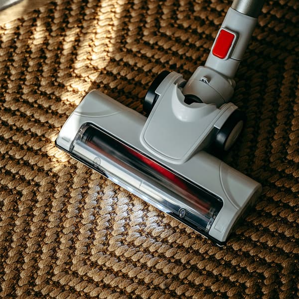 Adler Handdammsugare