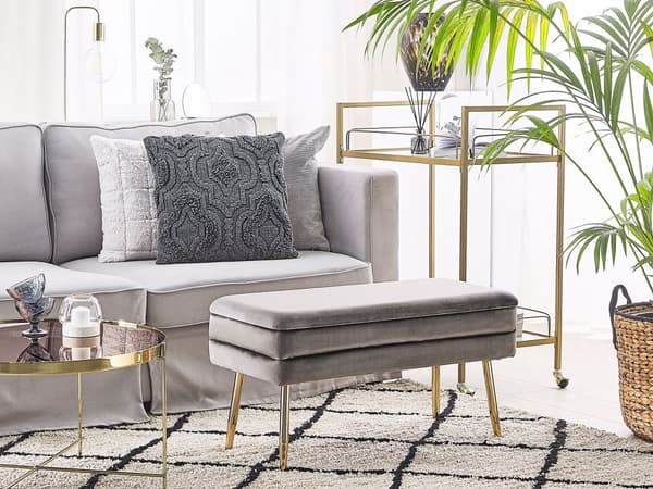 Opbevaringsbænk Grå Velour med Guldben af Jern 41 x 79 x 37 Glamourøs Blød Bænk til Entré med Opbevaring Design Polstret Sengebænk Indendørs