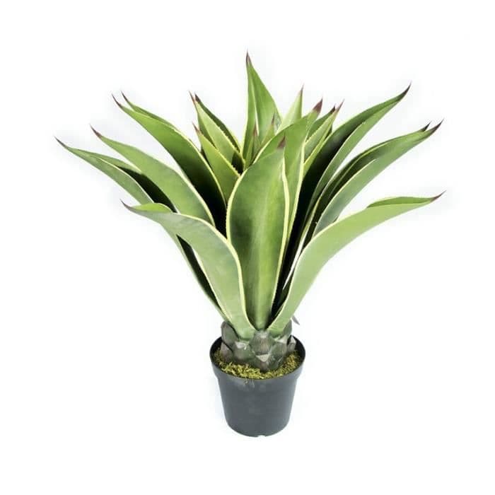 CATRAL Agave kunstig plante - 73 cm