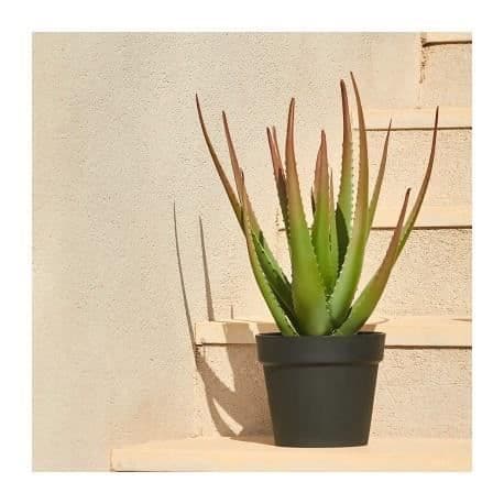 CATRAL Keinotekoinen kaktus Aloe - 81 cm