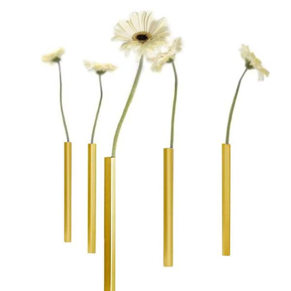 Magnetisk Vas (5st) Peleg Design - 2 Färger (Silver eller Guld)