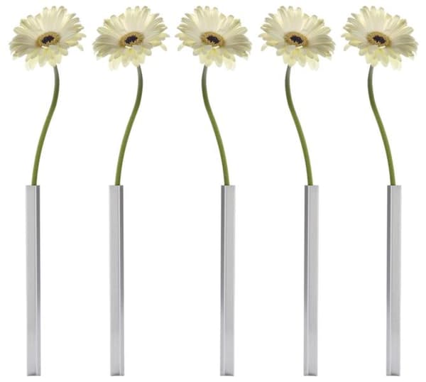 Magnetisk Vas (5st) Peleg Design - 2 Färger (Silver eller Guld)