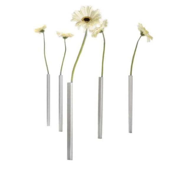 Magnetisk Vas (5st) Peleg Design - 2 Färger (Silver eller Guld)