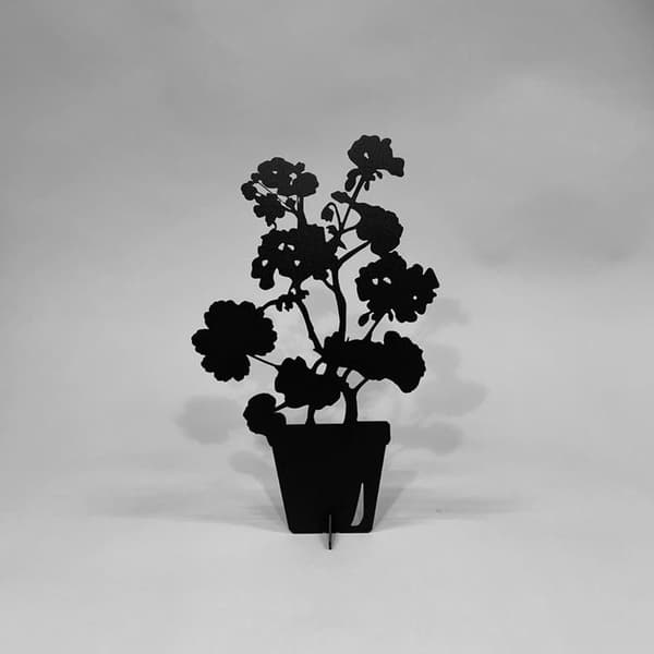 Pelargon Svart Älsa Dekoration Pelargon liten 33cm