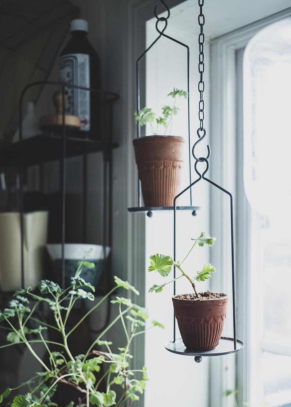 Hängande ställning till kruka