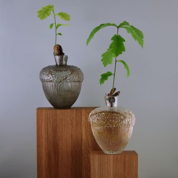 Robur vase clear H 11cm - Vas Vitreum