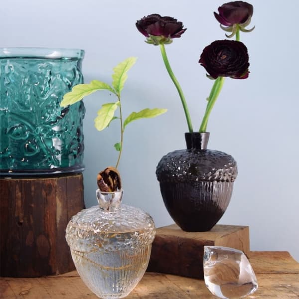 Robur vase clear H 11cm - Vas Vitreum