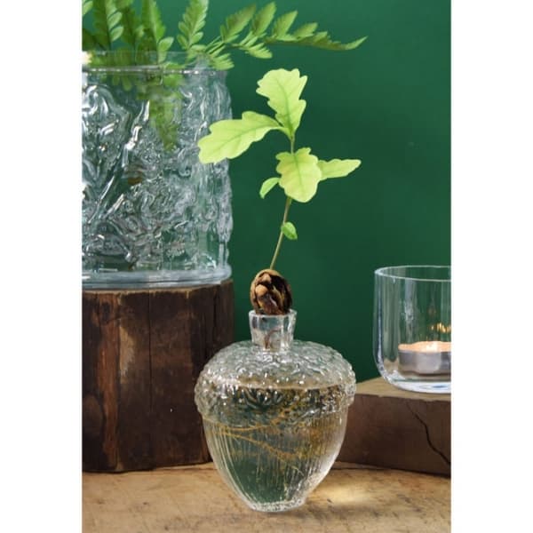 Robur vase clear H 11cm - Vas Vitreum