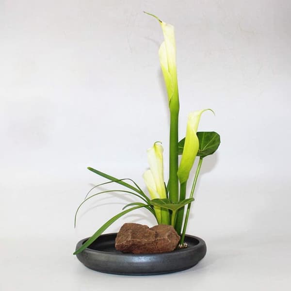 Rund Blomhållare / Blomsterfakir med Gummibas - Blomdekor - Svart