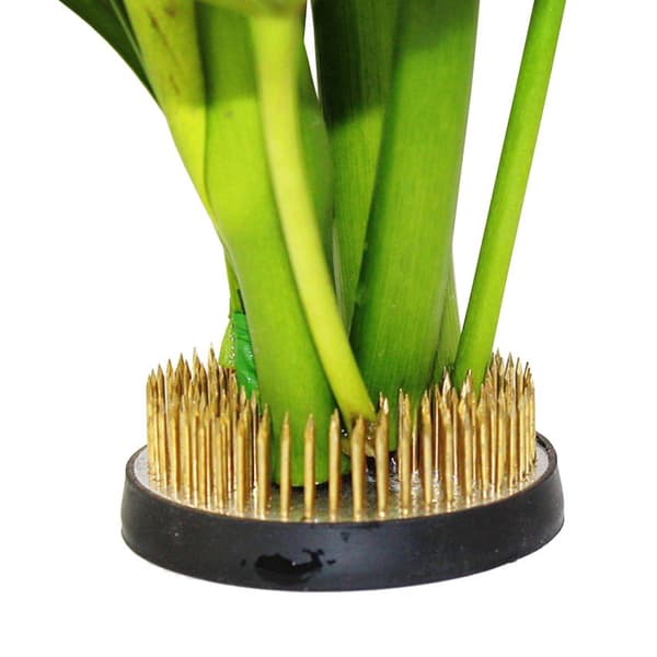 Rund Blomhållare / Blomsterfakir med Gummibas - Blomdekor - Svart
