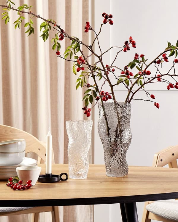 Blomstervase Gennemsigtigt glas 23 cm Dekorativ Bordplade Boligindretning Moderne Design