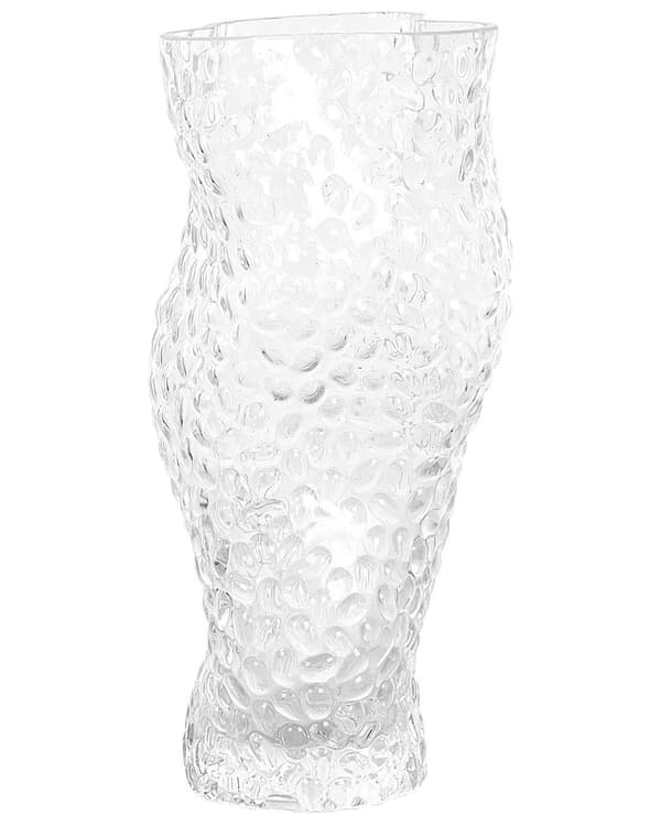 Blomstervase Gennemsigtigt glas 23 cm Dekorativ Bordplade Boligindretning Moderne Design