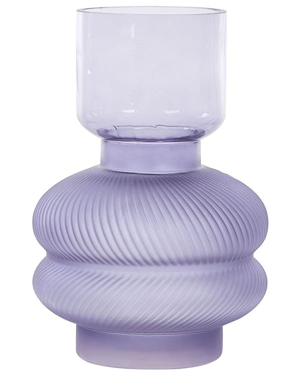 Vase Lilla Glas 24 cm Moderne Rund Lille Glasvase til Stuen Bordpynt til Soveværelse Pynteting til Vindueskarm Tilbehør Blomstervase