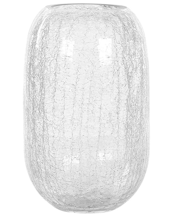 Kukkamaljakko kirkas 17 x 28 x 17 cm lasi koriste säröt ovaali moderni perinteinen