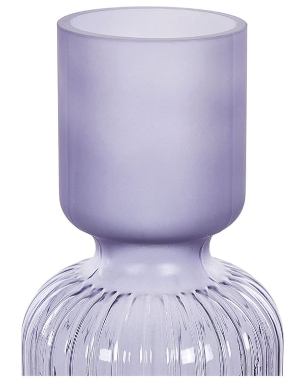 Vase Lilla Glas 31 cm Moderne Glasvase til Stuen Bordpynt til Soveværelse Pynteting til Vindueskarm Tilbehør Blomstervase Retro Flaskeform