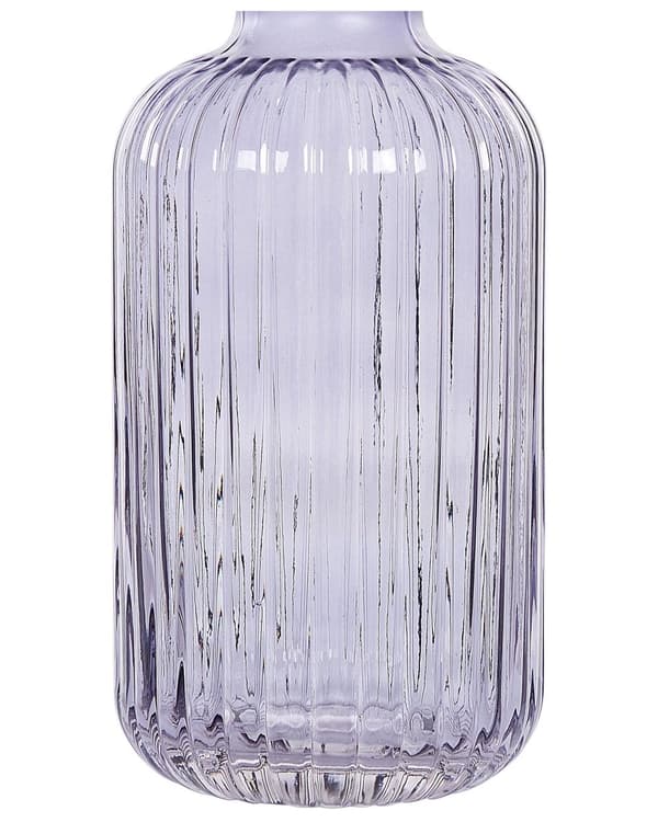 Vase Lilla Glas 31 cm Moderne Glasvase til Stuen Bordpynt til Soveværelse Pynteting til Vindueskarm Tilbehør Blomstervase Retro Flaskeform