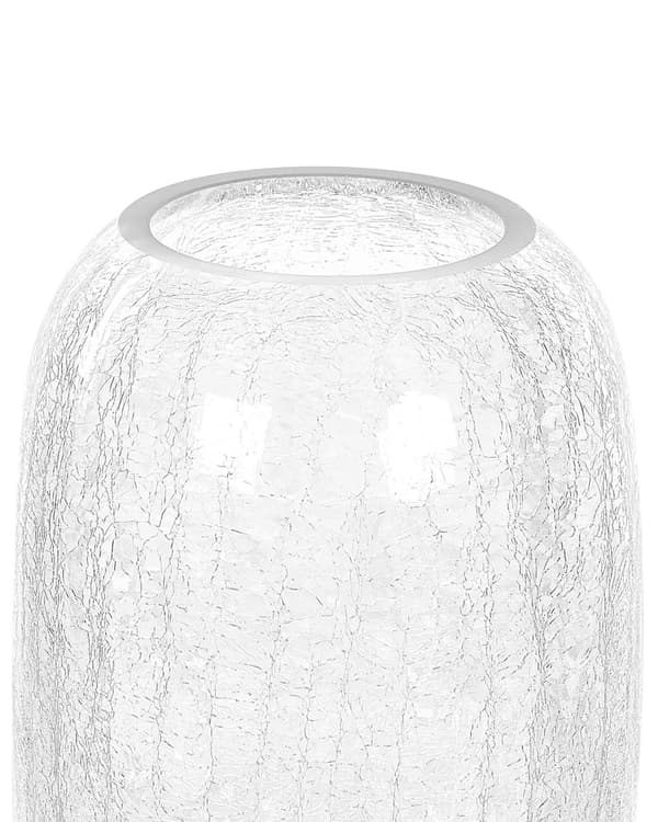 Vase Transparent Glas 28 cm Moderne Oval Glasvase til Stuen Bordpynt til Soveværelse Pynteting til Vindueskarm Tilbehør Blomstervase