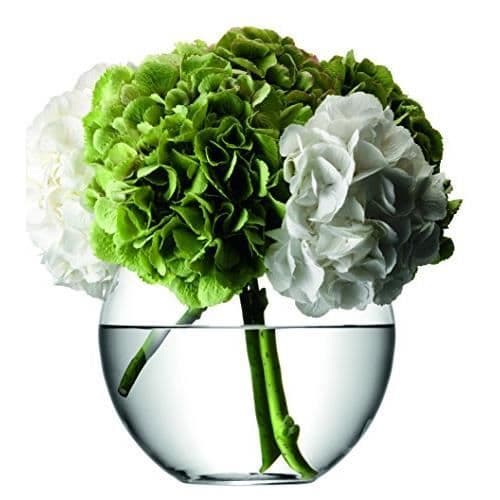 Blomvas - LSA INTERNATIONAL - G613-22-301 - 22 cm - Transparent - Modern design