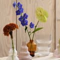 Pikkukuva 2 / 3: Pavilion Vase Clear, H 17cm - Kosta Boda