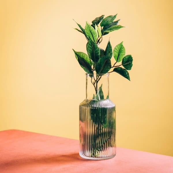 TOLLE glasvas, räfflad, transparent, 10x22 cm