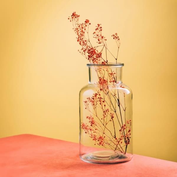 Vase | TENNO | glas gennemsigtigt | 14,5x25,5cm | 726767