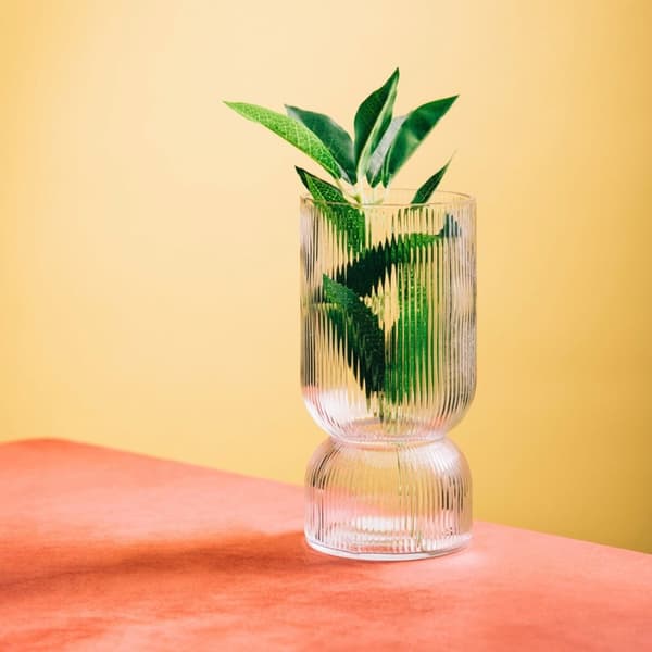Vas | LIMPID | glas transparent | 21 cm | 729744