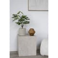 Miniatyrbild 2 av 6: Rootz Glass Vase - Decorative Piece - Contemporary Style - Organic Shape - Förbättrar alla rum - Ø16.5x17 cm