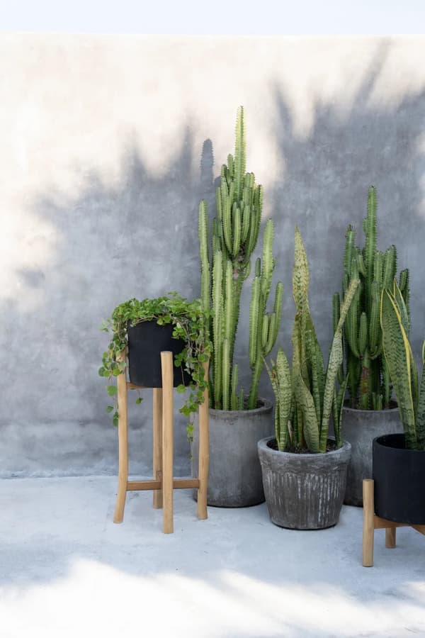 Charcoal High - Sort Naturlig - L