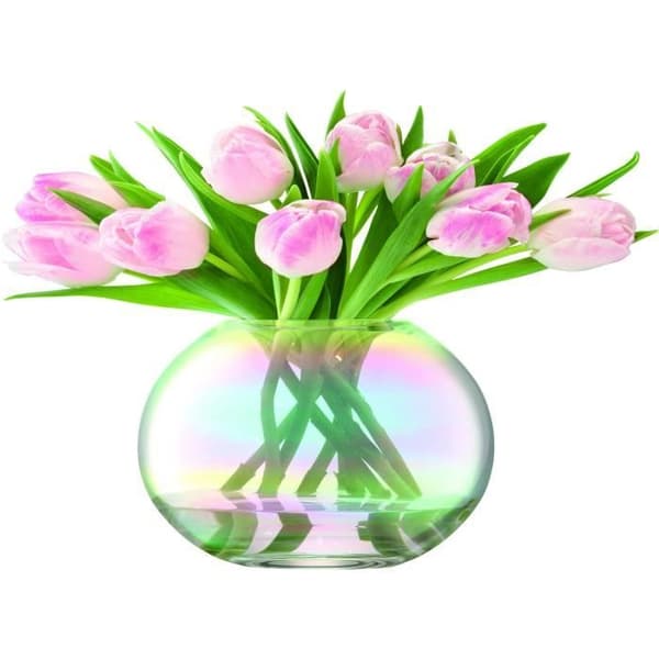 Vas - L.S.A. - Pärla - 16 cm - Transparent glas - Chic elegans