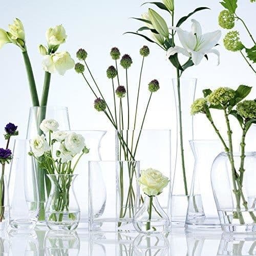 Minivas - LSA International - G429-32-301 - 32 cm diameter - Transparent - Munblåst glas