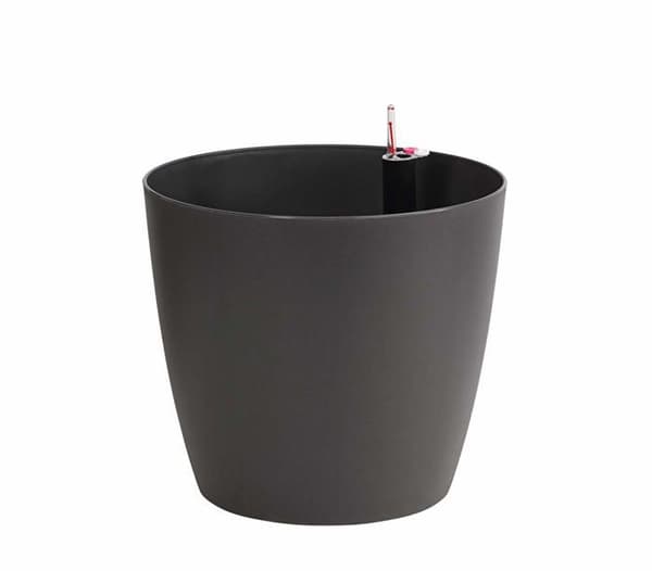 Vas - soliflore Dehner - 4108296
