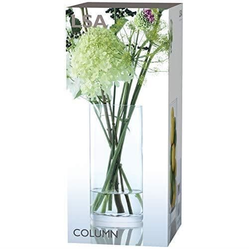 Kolonnvas - LSA INTERNATIONAL - H28 X Ø13 cm - Klar - Glas - Modern design