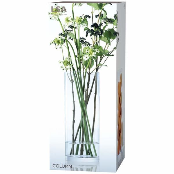 Vas - soliflore Lsa international - G330-50-992 - LSA CO25 Giant Column vas, 50 x 20 cm (H x ), transparent