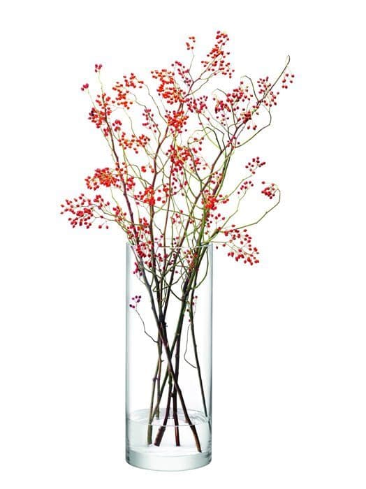 Vas - soliflore Lsa international - G330-50-992 - LSA CO25 Giant Column vas, 50 x 20 cm (H x ), transparent