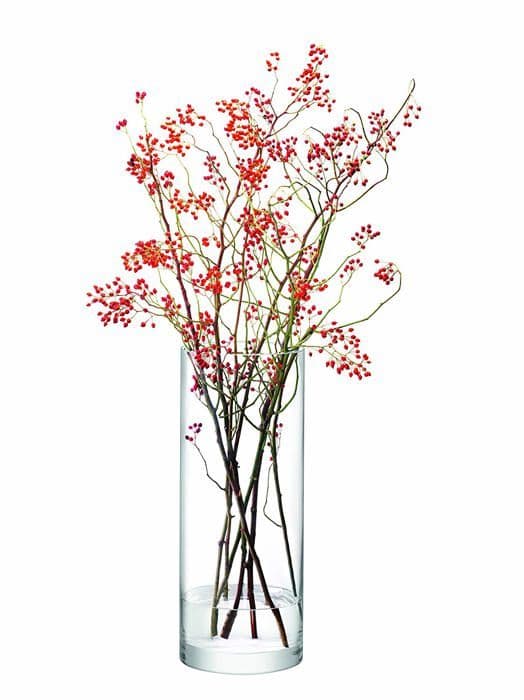 Vas - soliflore Lsa international - G330-50-992 - LSA CO25 Giant Column vas, 50 x 20 cm (H x ), transparent