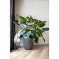 Miniatyrbillede 2 af 2: Vase Capi Europe GROOVE NL Antracit Plastik 34 x 34 x 46 cm