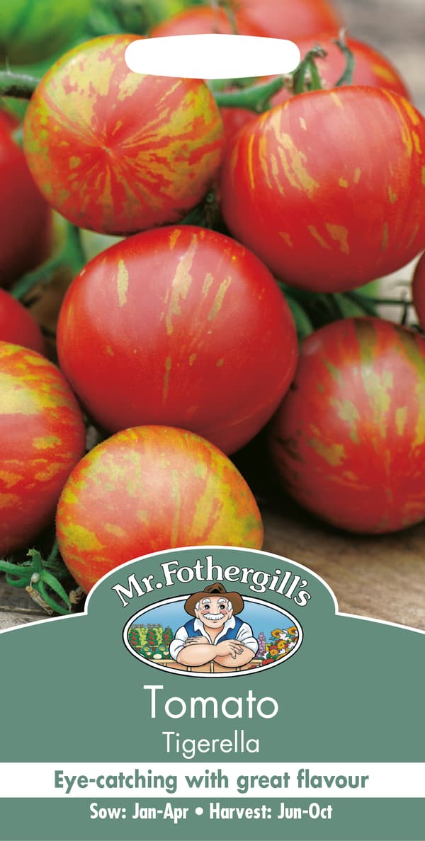 Tomat 'Tigerella'