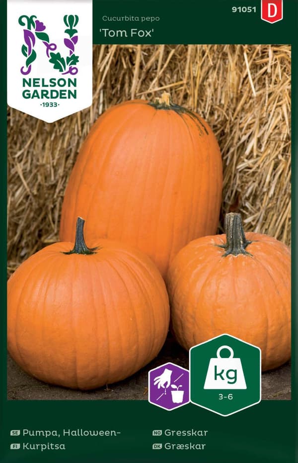 Pumpa 'Tom Fox'