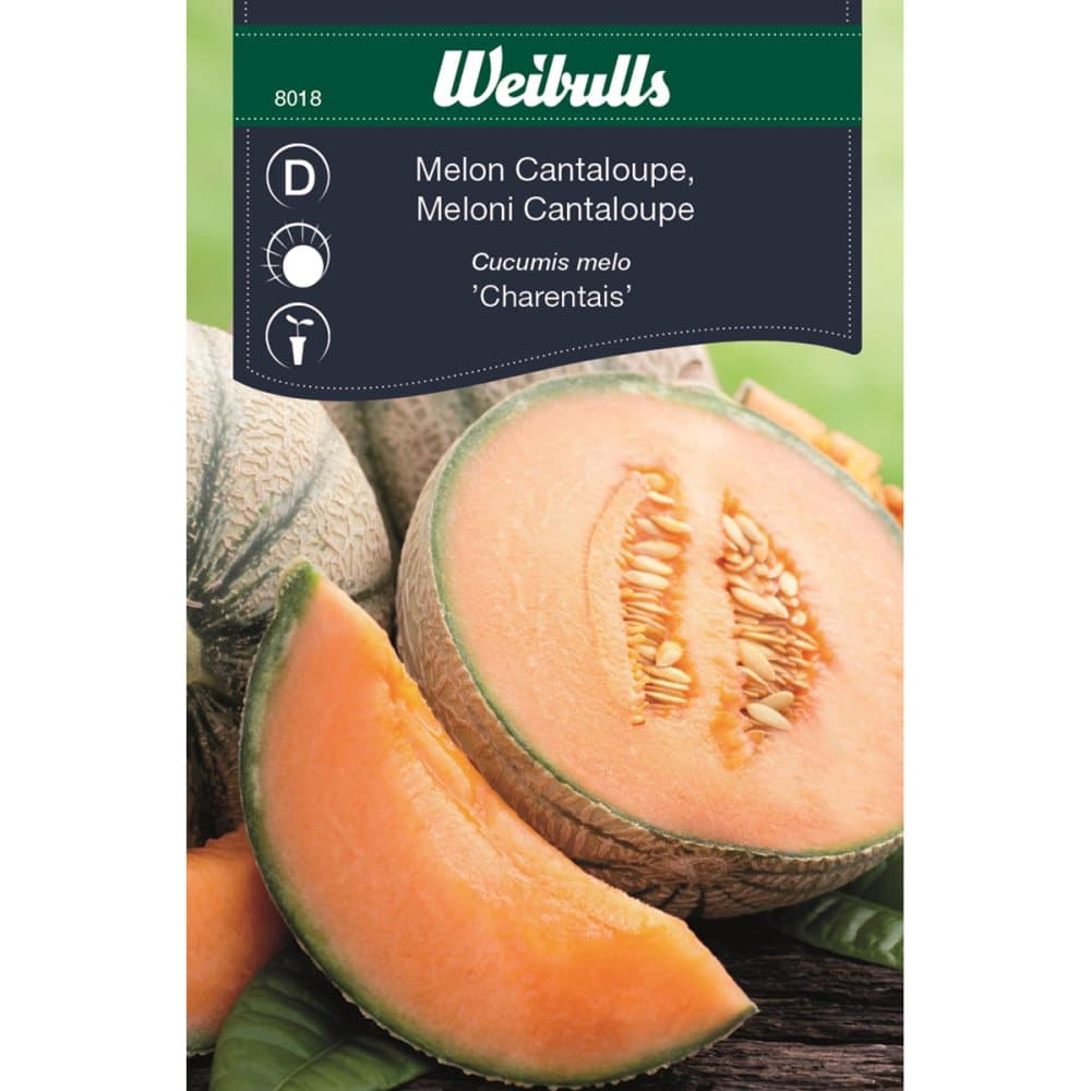 Weibulls Melon, Cantaloupe