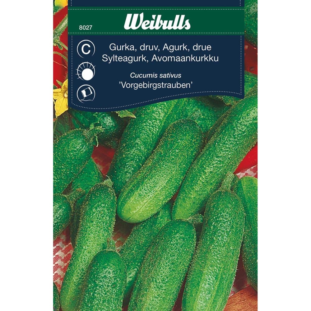 Weibulls Gurka, frilands- Vorgebigstrauben