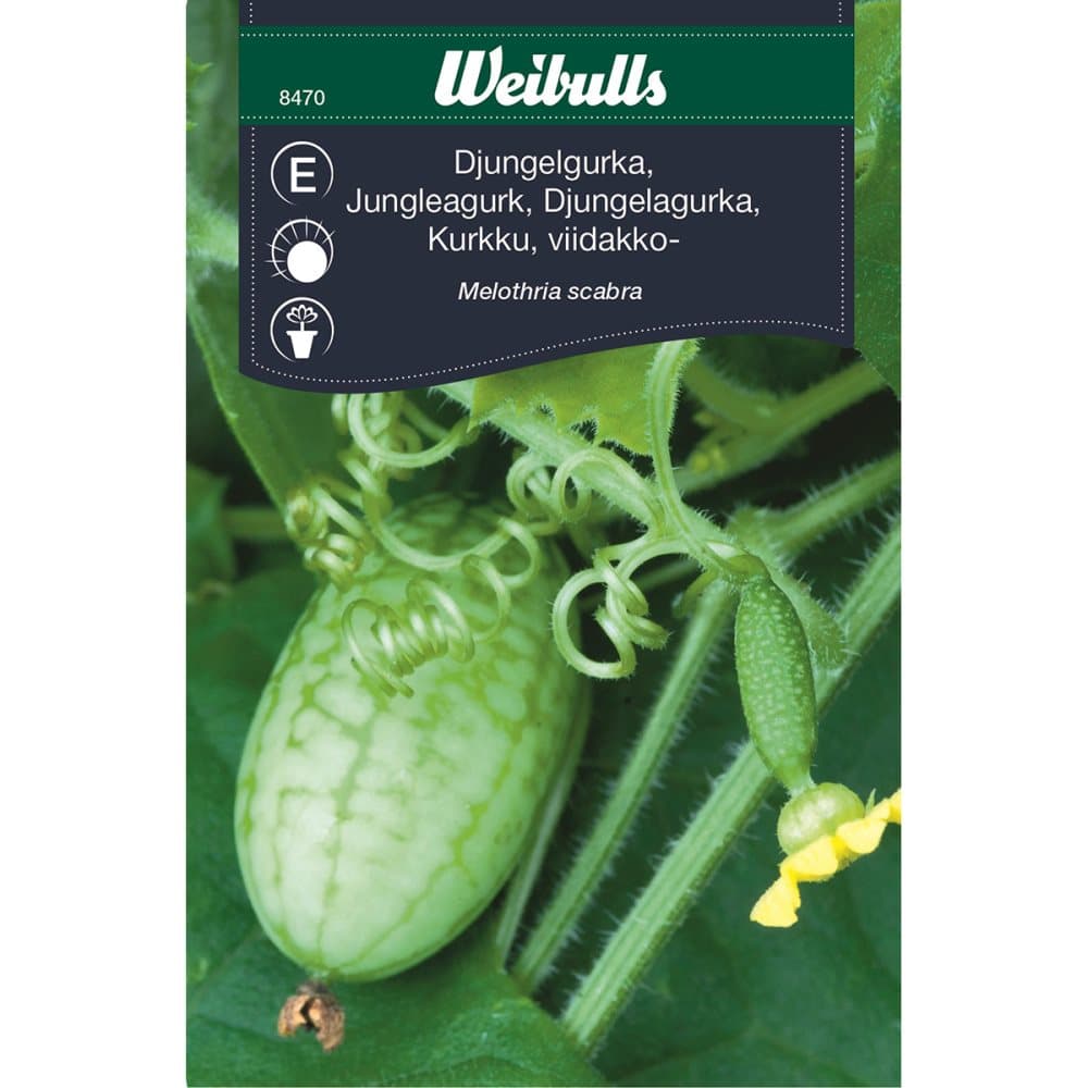 Weibulls Djungelgurka