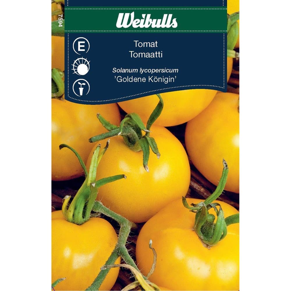 Weibulls Tomat Goldene Königin