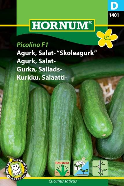Sallatsgurka 'Picolino' F1 frö